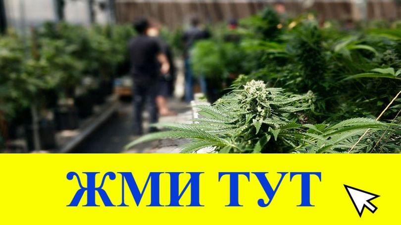 Купить наркотики в Ахтубинске